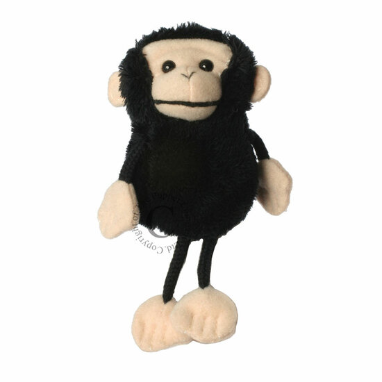 PC020205 chimpansee - vingerpop