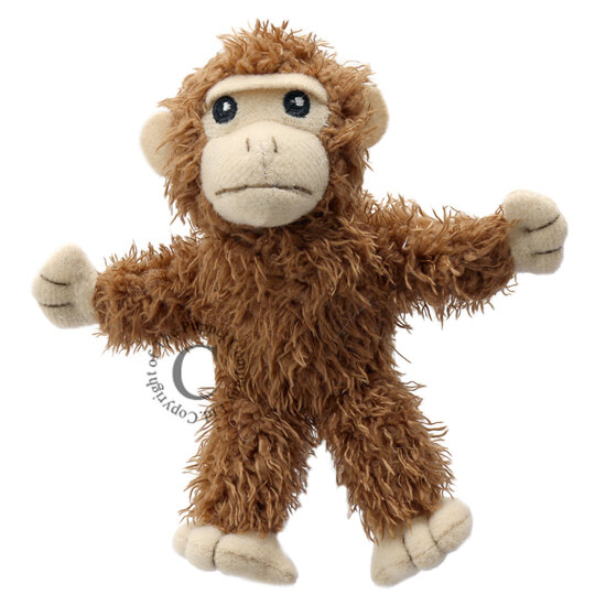 PC002134 Monkey aap - vingerpop