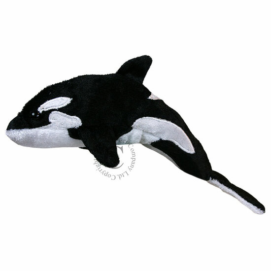 PC002109 Whale Orca - vingerpop