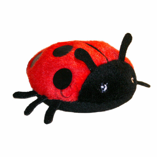 PC020253 Ladybird lieveheersbeestje - vingerpop