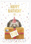 IB046 Grote kaart van Rosie Hilyer - happy birthday to you - egel