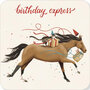 BAR522 Rosie Hilyer kaart - birthday express - paard