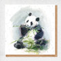 WP027 fine art kaart - panda