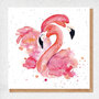 WP030 fine art kaart - flamingo