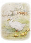 16502 ansichtkaart beatrix potter - eend