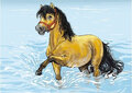 16861 ansichtkaart - paard in water