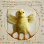 CHP1755 Lucia Heffernan kaart - Vitruvian Chick