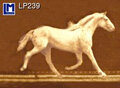 LP239 Wisselbeeldkaart - Muybridge Paard