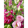 MH039 Grote kaart Mano - roze bloemen