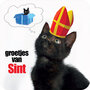 V593 ansichtkaart met envelop - groetjes van sint - kitten