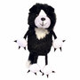 PC002204 border collie hond - vingerpop