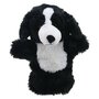 PC004603 Border Collie - handpop eco