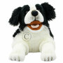 PC003007 Border Collie hond - Playful Puppies - handpop