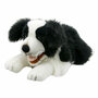 PC003007 Border Collie hond - Playful Puppies - handpop