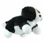 PC001802 Border Collie hond - full-bodied animal - handpop