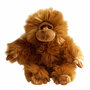 PC001821 Orang-Oetan aap - full-bodied animal - handpop