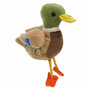 PC002147 Mallard wilde eend - vingerpop