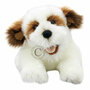 PC003008 bruin-witte hond - Playful Puppies - handpop