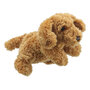 PC001832 Cockapoo - full-bodied animal - handpop