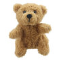 PC002246 Teddybeer - vingerpop