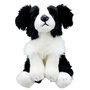 WB001604 Border Collie - Wilberry Favourites