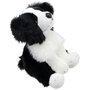 WB001604 Border Collie - Wilberry Favourites