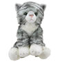 WB001603 Kat - Tabby - Wilberry Favourites