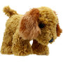 WB001605 Cockapoo (Golden) - Wilberry Favourites