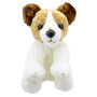 WB001606  Jack Russell Terrier- Wilberry Favourites