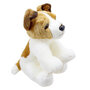 WB001606  Jack Russell Terrier- Wilberry Favourites