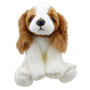 WB001607 King Charles Spaniel- Wilberry Favourites