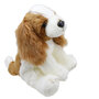 WB001607 King Charles Spaniel- Wilberry Favourites