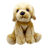 WB001608 Labrador - Wilberry Favourites