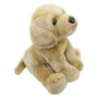 WB001608 Labrador - Wilberry Favourites