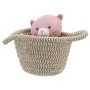 WB001807 Cat - Kat - Wilberry Pets in Baskets