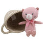 WB001807 Cat - Kat - Wilberry Pets in Baskets