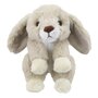 WB003510 Rabbit (lop Eared) - Konijn (hangoor) - Wilberry Eco Minis