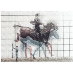 LP353 Wisselbeeldkaart - Paard met ruiter (Muybridge)